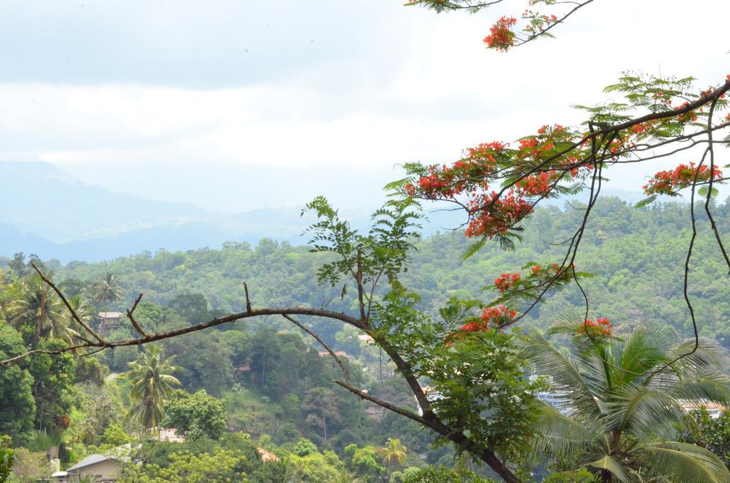 The Buena Vista Kandy Eksteriør billede