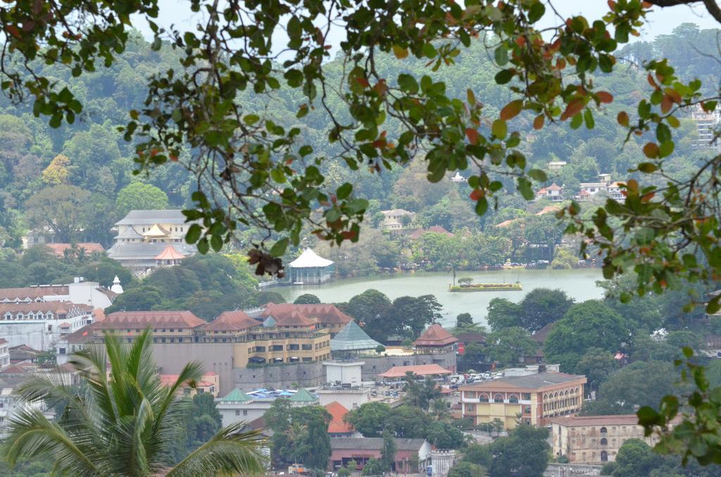The Buena Vista Kandy Eksteriør billede